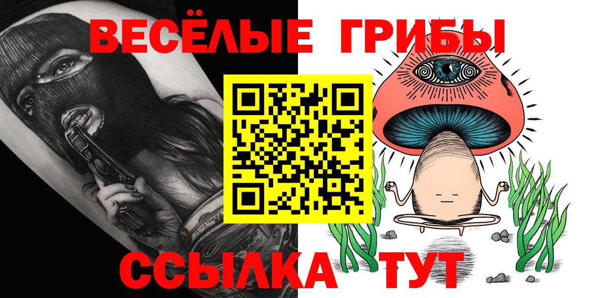 Галлюциногенные грибы Psilocybe Новоуральск